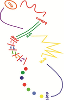 Preformed Thermoplastic Activity Trail 15M x 4M
